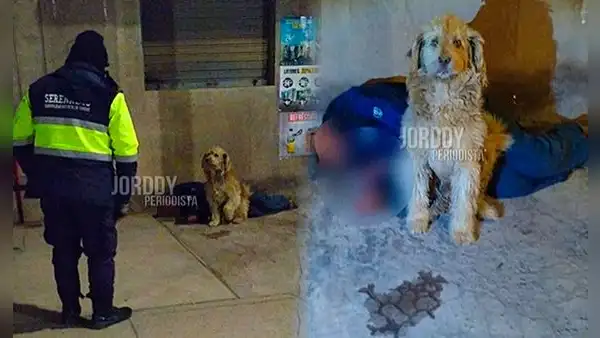 Perrito conmueve al no separarse de su dueño que dormía en una calle de Cusco, pese al intenso frío: “El verdadero amigo fiel”