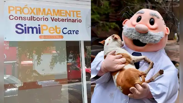 Simi Pet Care llega a CDMX: la alternativa en atención veterinaria de calidad a bajo costo para tus mascotas
