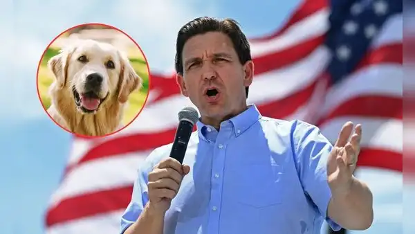 Ron DeSantis a favor de la protección animal en Florida: ¿conoces la Ley Trooper y Ley Dexter?