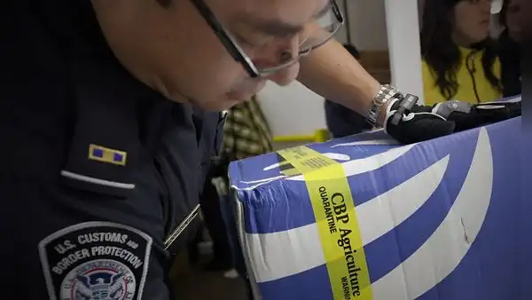 Intentó ingresar a EEUU con este producto y le quitaron la visa americana: ciudadana de México olvidó declararlo