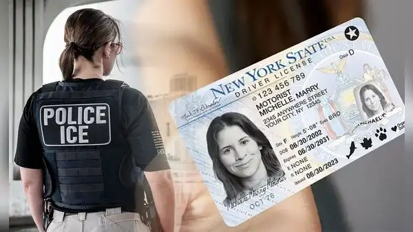 ¿Nueva York ya no sería 'ciudad santuario' en EEUU? ICE arresta a inmigrantes con licencia de conducir y Real ID