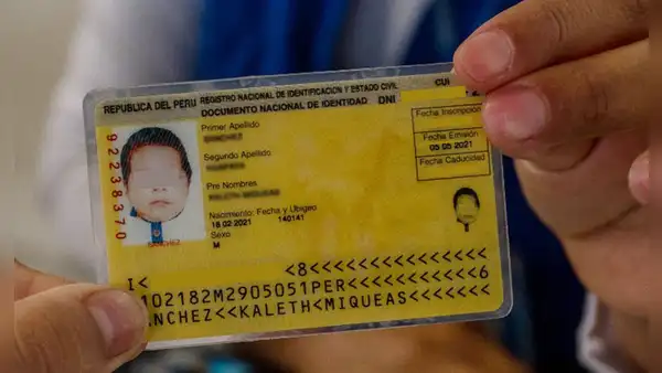 ¿Cómo ver online el DNI amarillo de mi hijo si se perdió y cómo generar su duplicado?