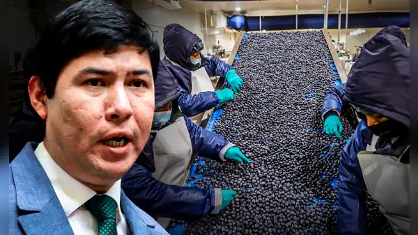 Congreso aprueba Ley Chlimper 2.0 con privilegios tributarios para grandes agroexportadoras