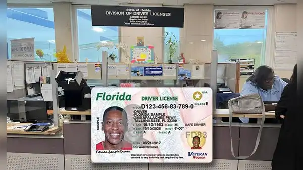 Las medidas del FLHSMV para optimizar los trámites de licencias de conducir en Miami-Dade en 2025