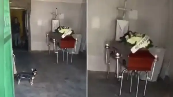 Joven va a cobrar deuda a cliente, pero descubre que falleció: “Hace 3 días le hice el crédito”
