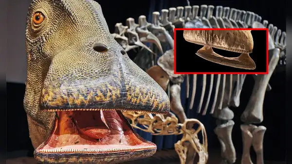 El 'Nigersaurus', el asombroso dinosaurio que tenía 500 dientes afilados como cuchillas y los remplazaba cada 14 días