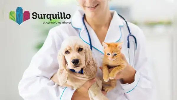 Surquillo lanza campaña veterinaria gratuita para perros y gatos: ¿Qué servicios ofrecerán el 14 de junio?