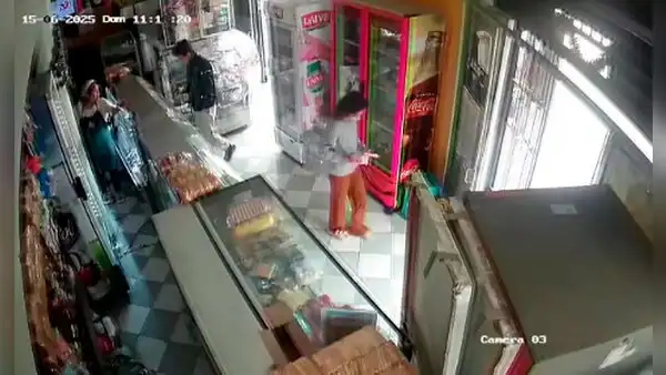 Captan una rata escapando de una panadería durante sismo de 6,1 y usuarios bromean: “Chefcito quería salvar su vida”
