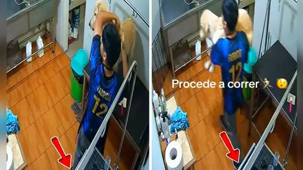 Sismo de 6,1 en Lima sorprendió a joven mientras bañaba a un perrito y su reacción conmovió a todos: nunca lo dejó solo