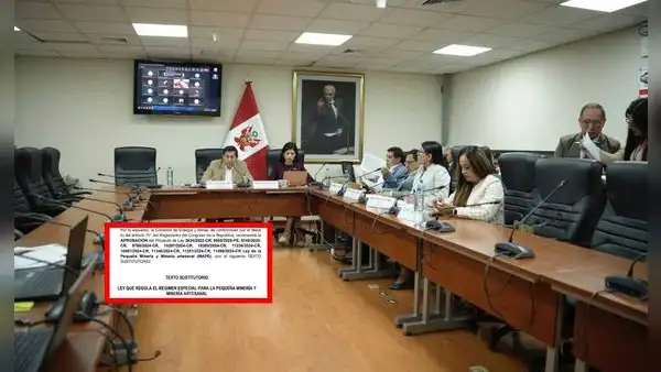Ley Mape sin consenso en el Congreso: norma que reemplaza al Reinfo se debatiría en la próxima legislatura