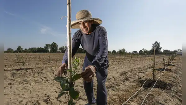 Poemas cortos por el Día del Campesino 2025 en Perú para niños de primaria e inicial