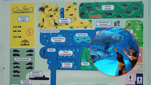 ¡Más de 2.000 especies marinas! Conoce el primer acuario temático de Perú