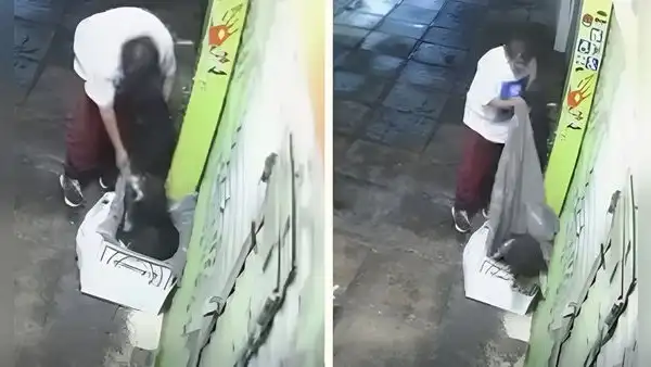 Hombre roba frazada a perrito callejero y desata ola de indignación en redes sociales: "El colmo"