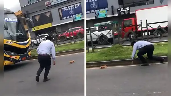 Chofer de bus desata risas al intentar atrapar un cuy en plena pista: "Se cayó la encomienda"