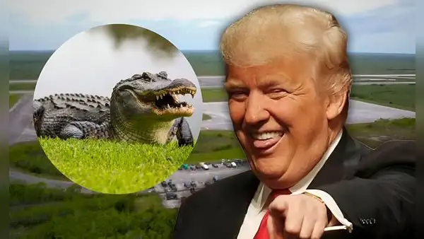 ¿Qué es 'Alligator Alcatraz'? Trump aprueba una temida prisión para inmigrantes rodeada de cocodrilos en EEUU