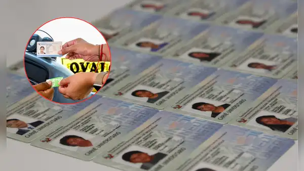 Carnet universitario: ¿aplica medio pasaje en temporada de vacaciones de instituto o universidad?