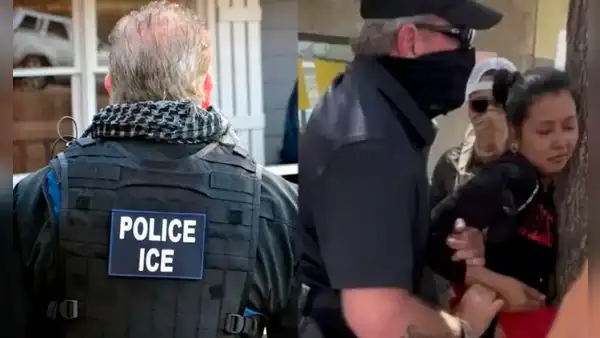 ICE detiene a vendedora ambulante de tacos en California: la inmigrante salvadoreña se sujetó de un árbol para intentar evitar el arresto