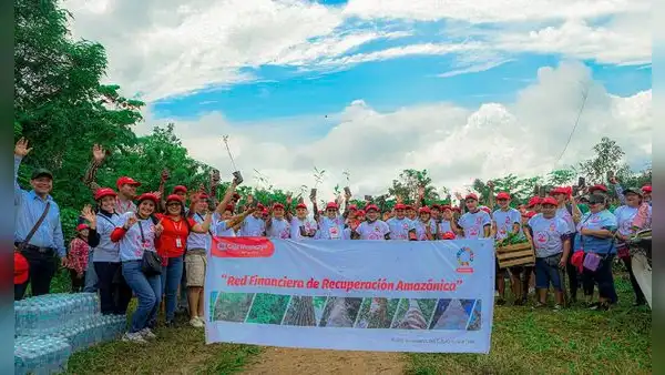 Caja Huancayo reforesta más de 14 hectáreas en la Amazonía de Loreto