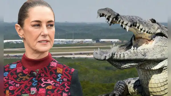 Sheinbaum muestra su rechazo al 'Alligator Alcatraz' de EEUU: "No estamos de acuerdo en tratar a inmigrantes como criminales"