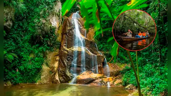 ¿Qué necesitas para viajar a la Amazonía peruana? Consejos y los lugares clave para aprovechar al máximo tu visita a la selva