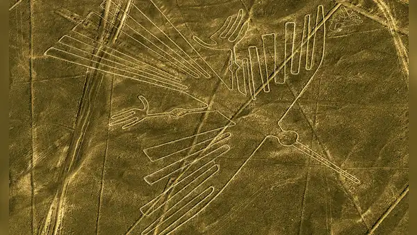 La obsesión de los nazca por representar animales no solo se encuentra en sus famosas líneas