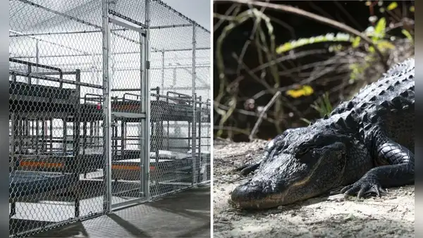 Inmigrantes detenidos en el centro 'Alligator Alcatraz' denuncian trato inhumano : “Hace cuatro días que no me baño”