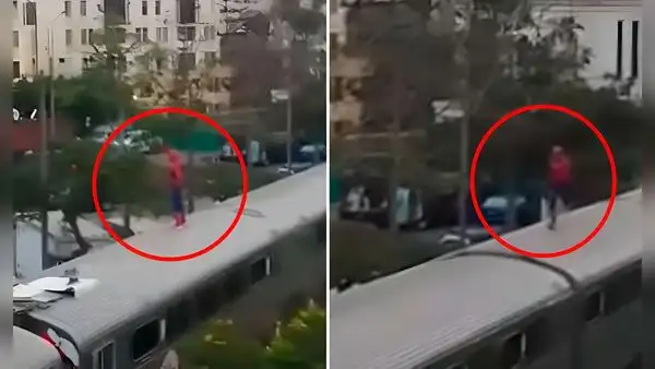 Captan a hombre disfrazado de Spider-Man corriendo sobre los trenes de López Aliaga: “Está buscando al Dr. Octopus”
