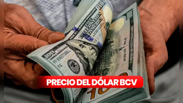 Precio del dólar BCV y dólar paralelo en Venezuela hoy, 20 de julio de 2025