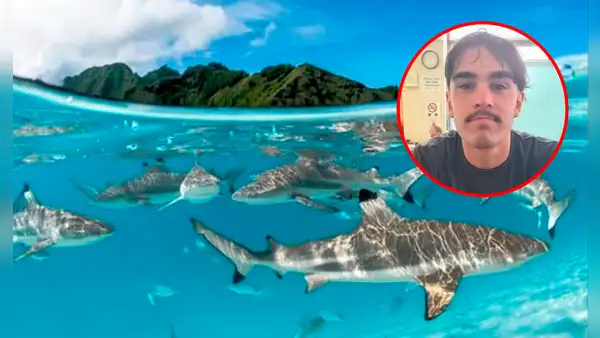 Joven australiano desapareció mientras surfeaba y terminó varado en una isla desierta a 13 km rodeado de tiburones: "Pensé que no iba a volver"