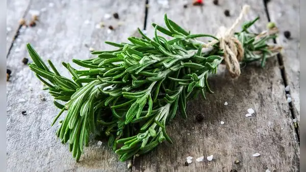 La hierba común de cocina que mejora nuestra memoria, controla la ansiedad y nos protegería contra el Alzheimer