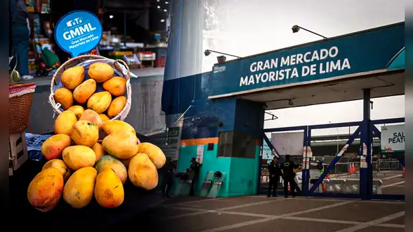 Gran Mercado Mayorista de Lima abastece alimentos con altos niveles de plaguicida prohibido desde el 2023