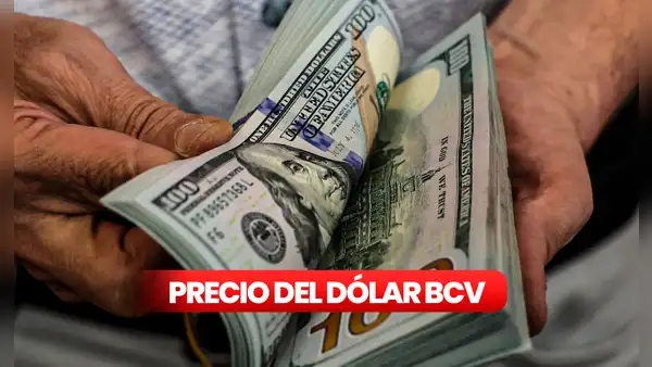 Tipo de cambio en Venezuela hoy: precio del dólar BCV y dólar paralelo actualizado para este 26 de julio