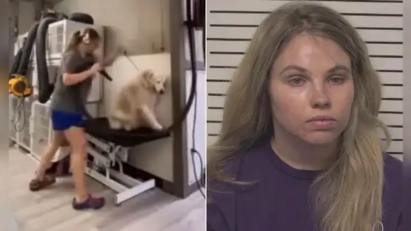 Mujer es captada golpeando a varios perritos en una veterinaria y ahora enfrenta cargos por crueldad animal en EE.UU.