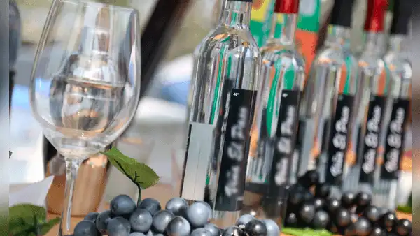 ¿Por qué se celebra el Día del Pisco este 27 de julio? Origen e importancia de la bebida bandera del Perú