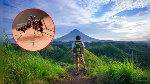 Minsa recomienda medidas clave contra el dengue para quienes viajen por Fiestas Patrias