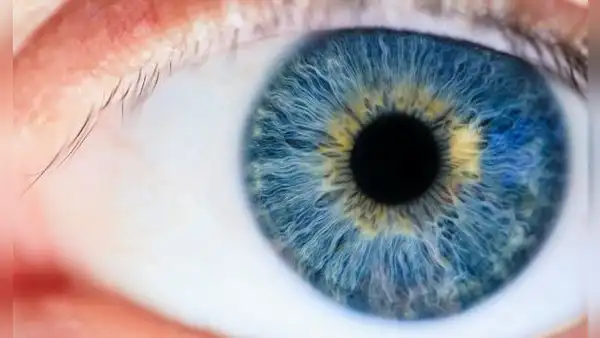 Descubren nuevo color que no se puede percibir de manera natural por el ojo humano: solo 5 personas lo han visto