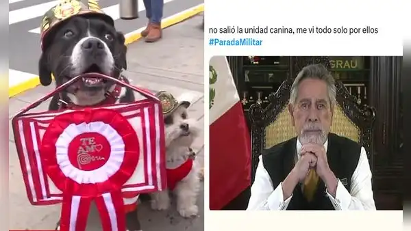 Los memes más divertidos sobre Dina Boluarte en la Parada Militar 2025 que te sacarán risas