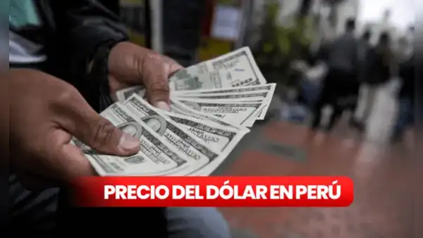 Precio del dólar en Perú HOY, jueves 31 de julio de 2025: ¿cuál es la cotización del tipo de cambio?