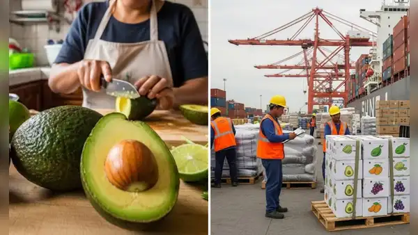 Perú conquista mercados internacionales gracias al 'oro verde' en 2025: exportaciones llegan a EE. UU. y Europa