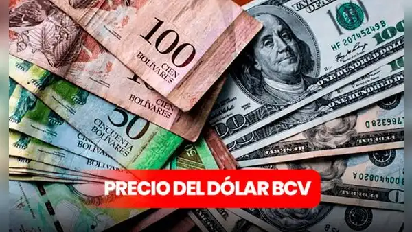 Dólar BCV y paralelo hoy 3 de agosto 2025: conoce el tipo de cambio oficial del Banco Central de Venezuela