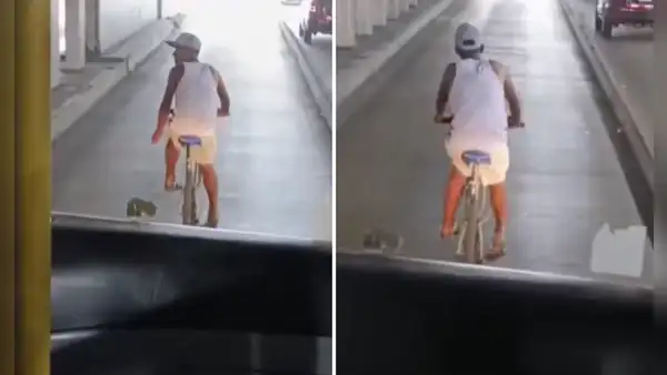 Ciclista es captado invadiendo el carril exclusivo del Metropolitano y genera indignación de los pasajeros: "Conchudo"
