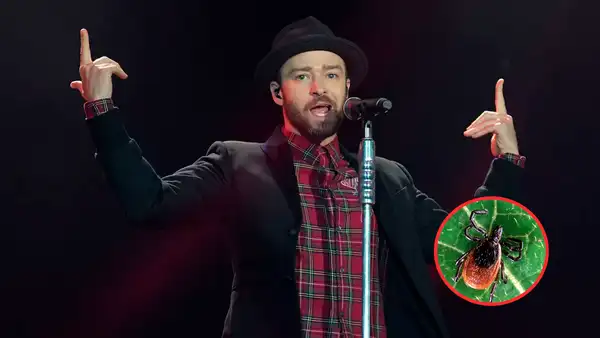 ¿Qué es la enfermedad de Lyme? El padecimiento que enfrenta Justin Timberlake y cómo se manifiesta en el cuerpo