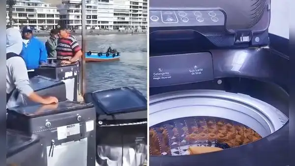 Peruana compró lavadora de contenedor por S/50 y muestra si realmente funciona: "Fui a Ancón y aproveché"