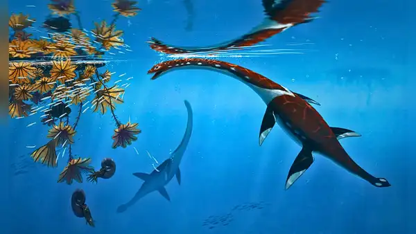 Científicos identifican una nueva especie de dinosaurio marino que vivió hace 183 millones de años
