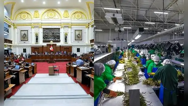 Congreso aprueba Ley Chlimper 2.0 que reduce impuestos a agroexportadoras por 10 años y genera un forado de S/20.000 millones