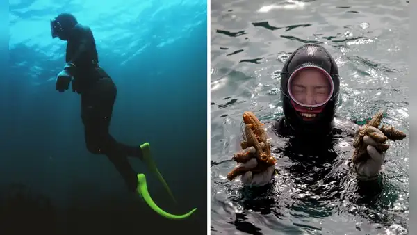 Las Haenyeo, las ‘sirenas’ de Corea del Sur que desafían a la biología: bucean 20 metros sin oxígeno y superan a mamíferos marinos