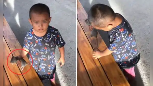 Niño se vuelve viral por jugar con rata y usuarios reaccionan: “Al fin un pequeño sin celular”