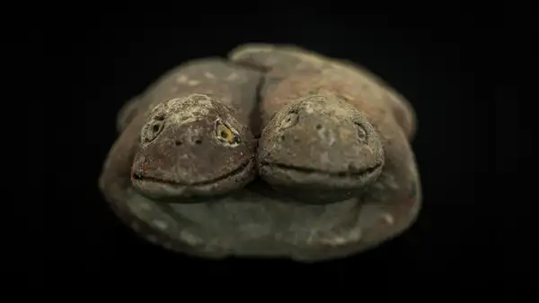 Arqueólogos descubren en Perú escultura de sapos de la civilización más antigua de América: tiene 3.800 años