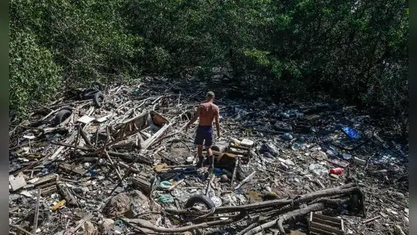 El programa brasileño para rastrear el ganado será vital para combatir la deforestación