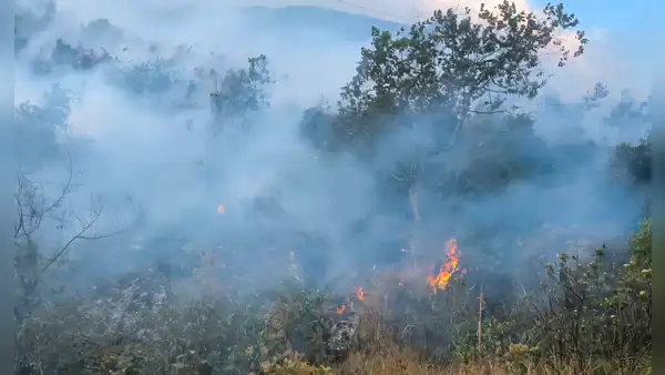 Incendio forestal cerca de Machu Picchu mantiene activa la alerta en Cusco